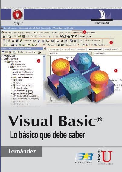 Visual Basic. Lo básico que debe saber